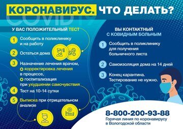 Инфографика по Covid